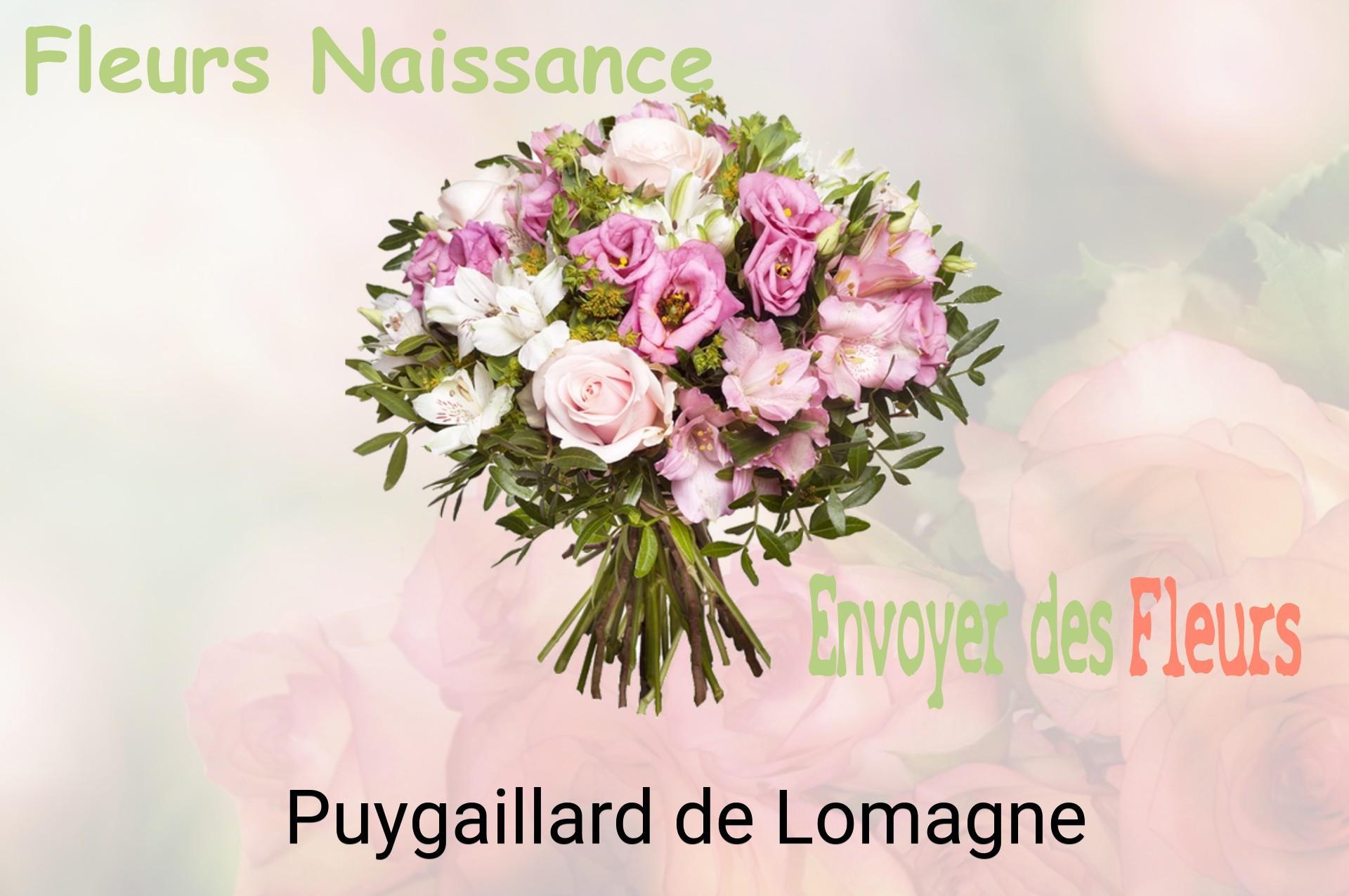 Bouquet de fleurs de naissance livré à Puygaillard-de-Lomagne
