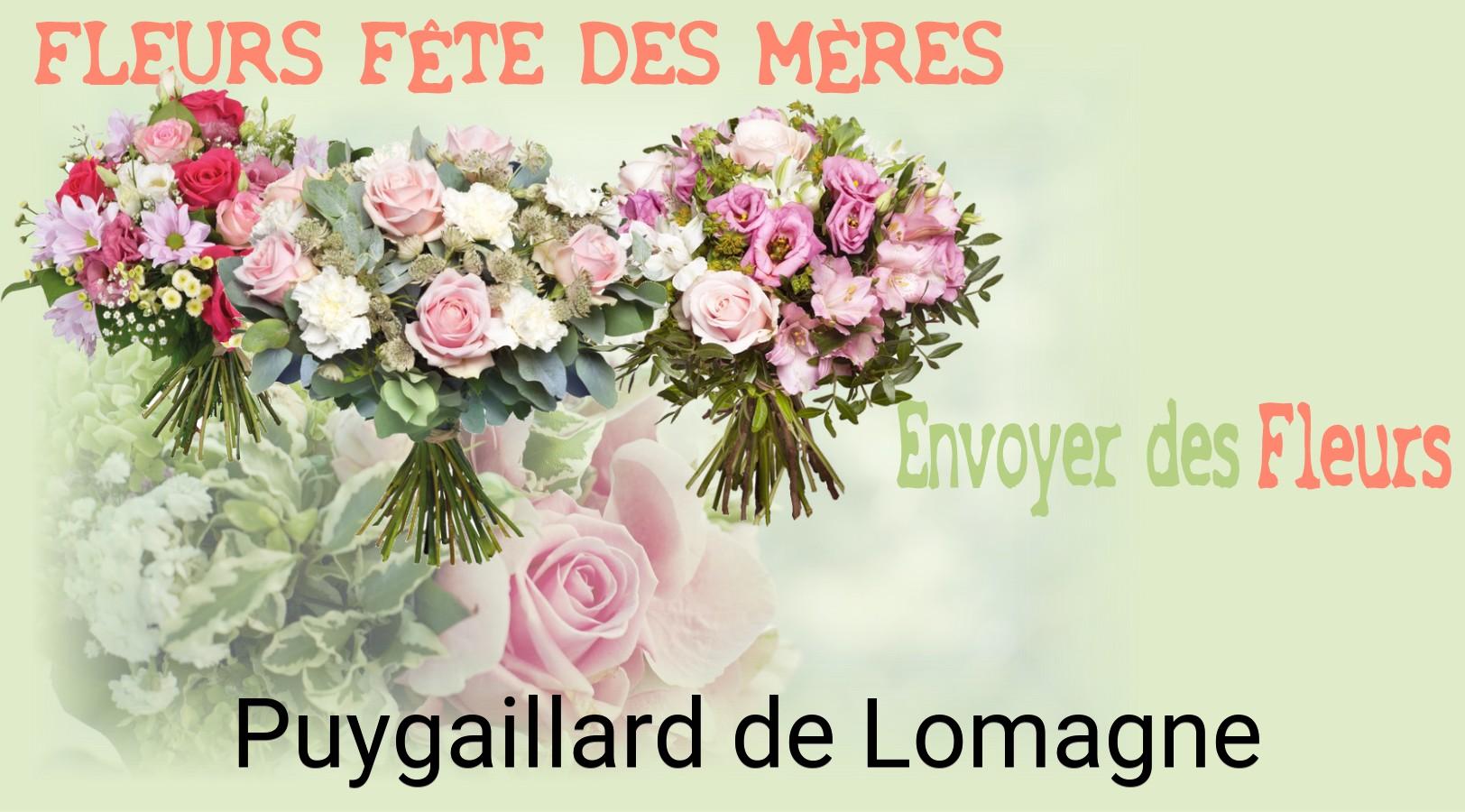 Bouquet de Fête des Mères livré à Puygaillard-de-Lomagne